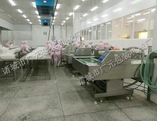 1000型全自動真空包裝機